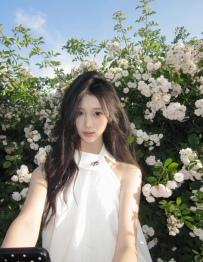 欲望の街へようこそ🇯🇵 自分だけの桜好きをカスタマイズ 毎日何百人もの美女が選ばれ